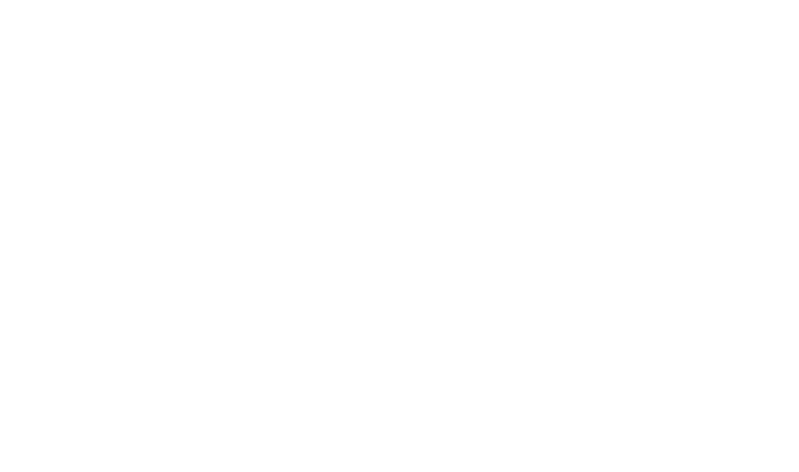 Falcon Point Logo